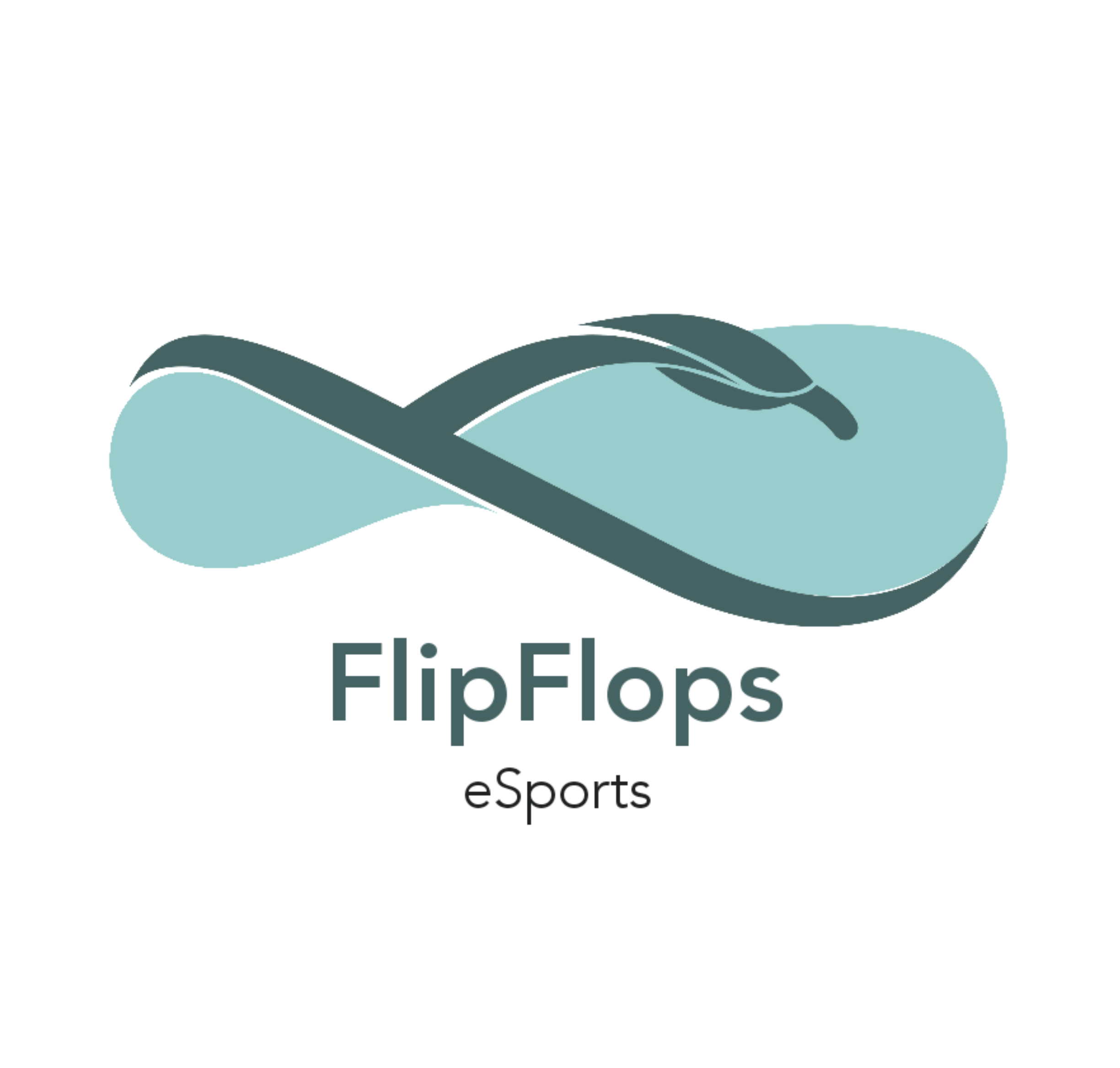 FlipFlops