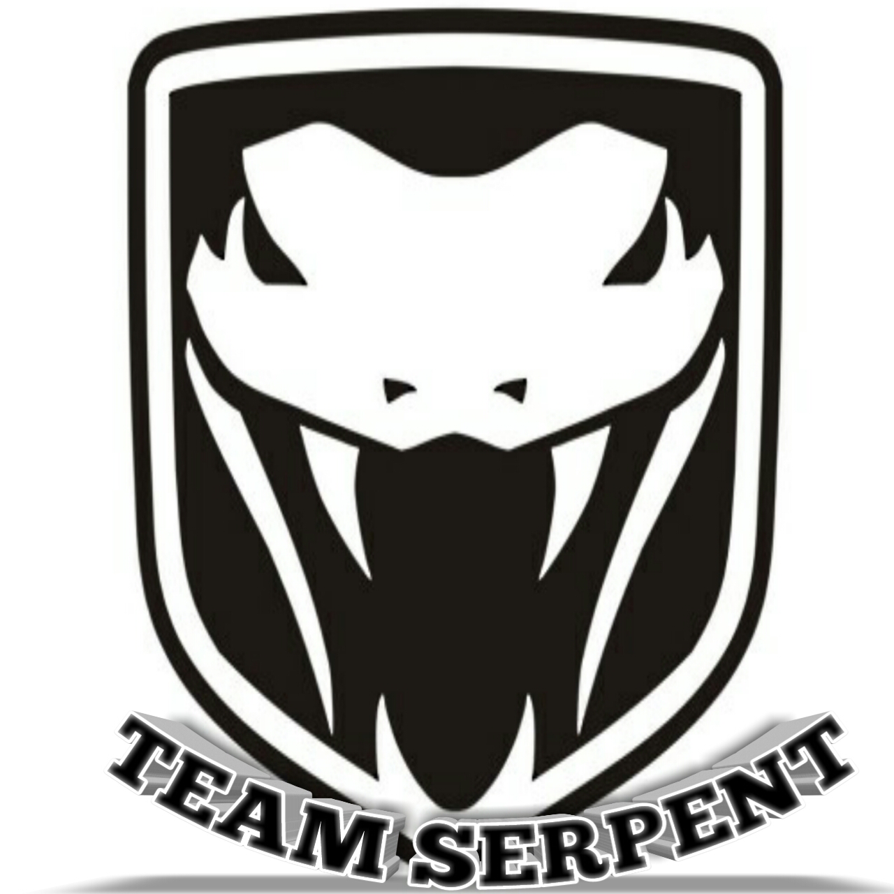 Team Serpent